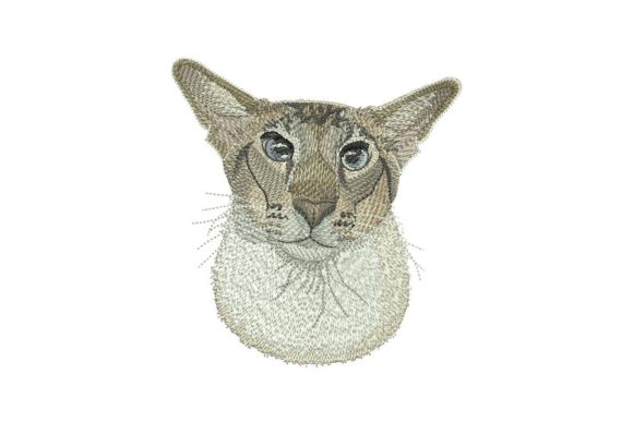 Oriental Cat Embroidery: A Designer's Hands-On Review